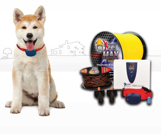 Dog with red collar and fence system product kit