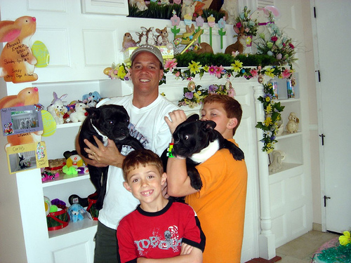 Two black puppies as guests at Alcala Pet Care center